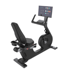 Urban Recumbent with Screen