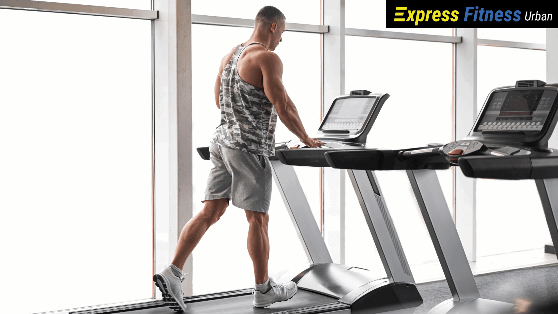 Our top treadmills for 2024 Blog Banner
