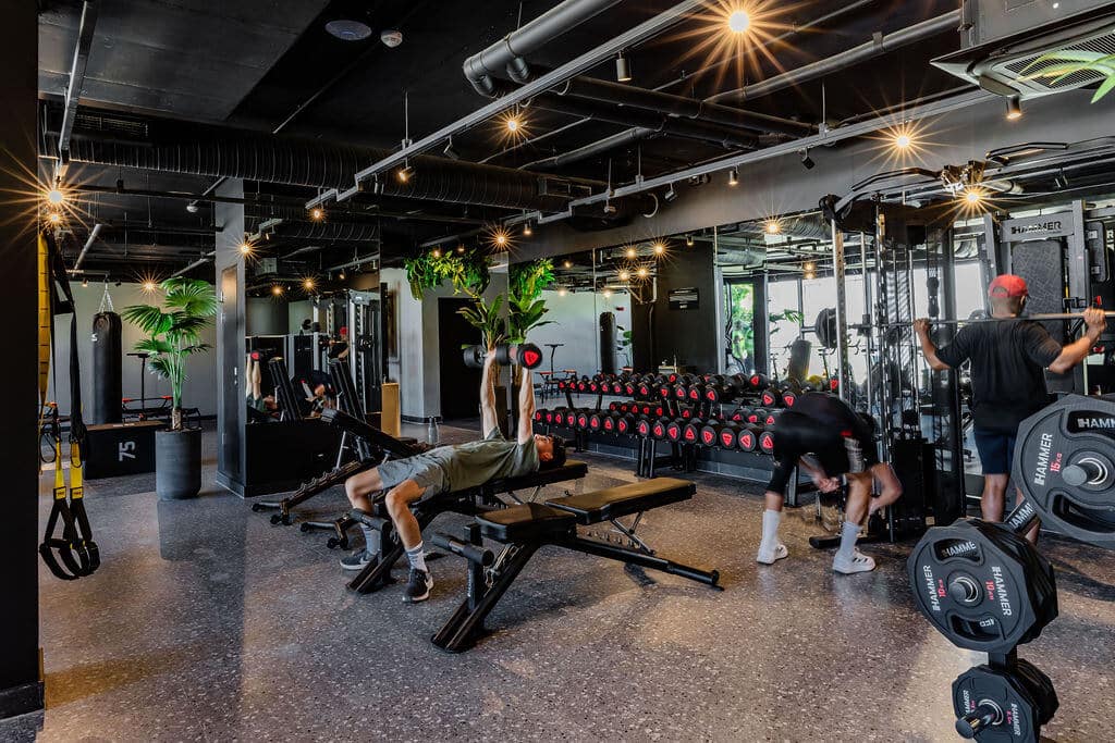 The One Gym Finished 2 Service Plan Privacy Policy Interior Design