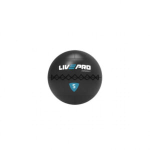 Urban Premium Wall Ball
