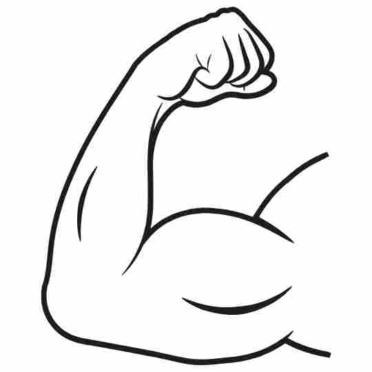 Arm Arm