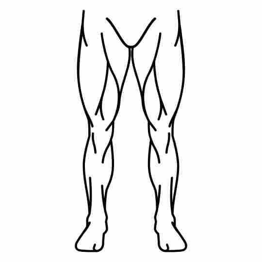 Legs Legs