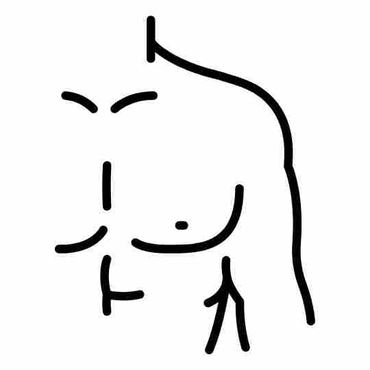 Shoulder Shoulder
