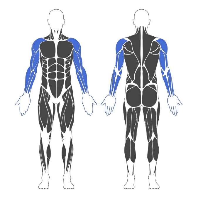 Strength Guide Arms Strength Guide Arms