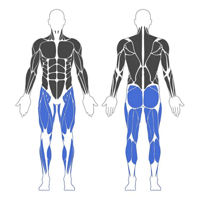 Strength Guide Legs Strength Guide Legs